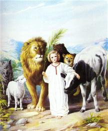 Een kind speelt met een leeuw, beer, wolf en aait een koe.