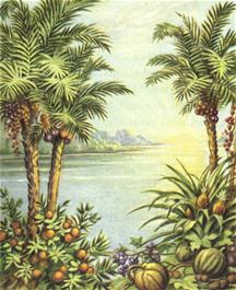 Paradijs met palmbomen, vructen, een meer met opkomende zon in de achtergrond